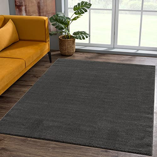 SANAT Kurzflor Teppich Wohnzimmer - Uni Modern Teppiche fürs Schlafzimmer, Arbeitszimmer, Büro, Flur, Kinderzimmer und Küche - Dunkelgrau, 160 x 230 cm