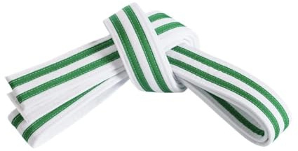Mastery Little Dragons (White belt/double Green stripe, 1)