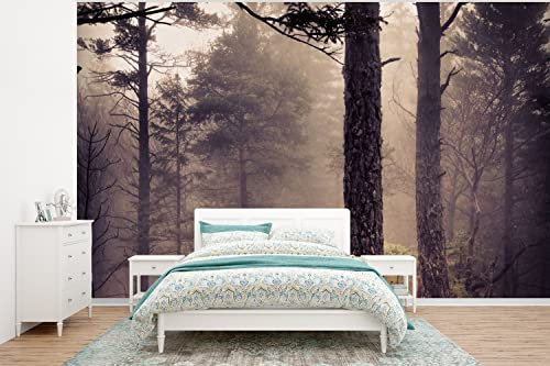 Selbstklebend Tapete Wandpapier Wandaufkleber Fototapete Tapeten Wanddeko 375x280 cm Nebel - Herbstdekoration - Natur - Wald