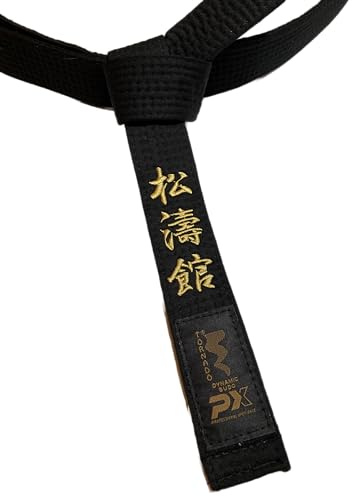 TEKKA BUDO Ceinture de karaté noire - Brodée - Shotokan - 330 cm - Lettres brodées or - Sangle noire Kanji japonaise - Ceinture noire