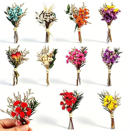 Kontazmi 10 piezas de ramos de flores secas naturales Mini ramo de flores secas Pequeñas flores secas Decoración para DIY Manualidades Scrapbook Diario Bullet Journal Álbum de fotos Decoración y cajas