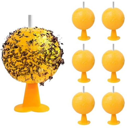 YALiya 6 Piezas Trampa Moscas Fruta, Bola de Trampa para Moscas de la Fruta, Trampa para Moscas Puede Colgante, Trampas para Moscas de la Fruta, para Orchard Garden Market