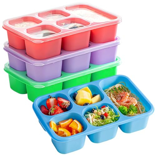 4 Pack Lunch Bento box, Five Compartment Individually Sealed Snack Box, Plastic Compartment Lunch Box with Transparent Lid, Reusable Prevent Cross Flavoring and Microwaveable(Pink/Blue/Purple/Green)