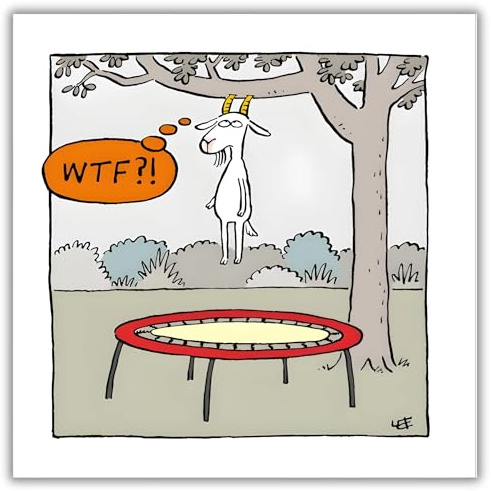 Funny Birthday/Blank Greeting Card for Him/Her - Male/Female - Humorous General Card for Men/Women - Goat and Trampoline Design - Made in the UK - Eco-Friendly