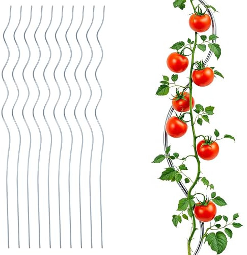 Tomater, spiralstav, galvaniserad 110 cm – set om 10 – metallspaljé för tomatväxter – klätterstöd, växtstöd, växtpinne, tomatpinne, blomstav