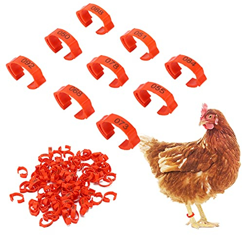 100 Pezzi Fasce per Identificazione delle Gambe di Pollo, Anelli per Piedi di Pollo Multicolori Retrattili in Plastica, Sei Slot per Schede Forniture per Alimentazione di Pollame (Rosso (100 pezzi