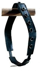 Euroriding GmbH & Co.KG Longiergurt Euro-Club Schwarz