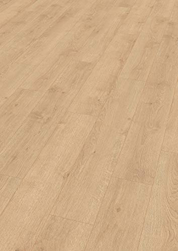 EGGER Home Laminatboden Aqua+ EHL167 Redmond Eiche hell (8mm, 1,995m²) | authentische Holzoptik | | Einfache Verlegung durch CLIC It! System | Wasserresistent & feuchtraumgeeignet