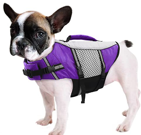 Queenmore Dog Life Jacket Swimming Vest Lightweight High Reflective Pet Lifesaver with Lift Handle, Leash Ring Purple,XS