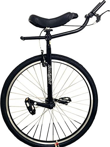 LoJax Monocycle Freestyle pour Adultes, 28 Roues Plus Grandes, monocycle Extra Large avec Guidon et Frein, monocycle Robuste pour Personnes de Grande Taille, Hauteur de 160 à 195 cm (Noir 28 Pouces)