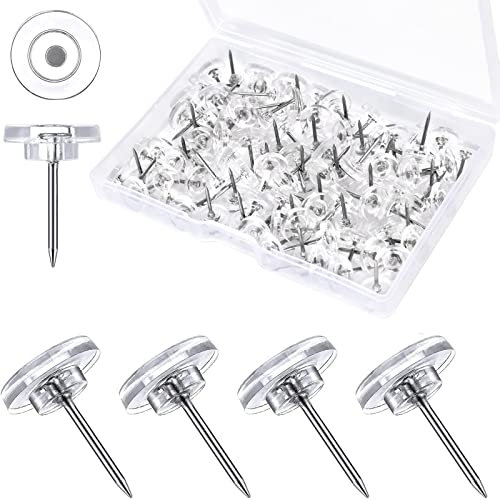 Zimoer 100 Transparent Drawing Pins, Colourable, Suitable for Multiple Uses