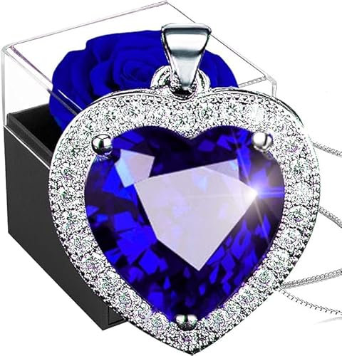 SWEETIME Ewige Rose,Blaue Infinity Rosen Box,Konservierte Blumen Geschenkbox Für Muttertag Valentinstag Weihnachten Ehefrau Frauen Großmutter Geburtstag Geschenk