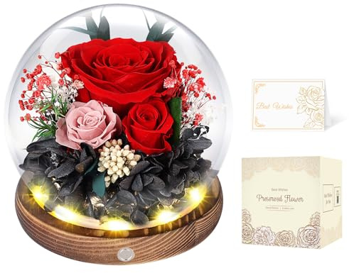 Rosa Eterna en Cúpula de Cristal con LED, Rosa Preservada por 5 Años, Flores Preservadas, Regalo para Mujer, Mamá, Novia o Esposa, Día de la Madre, San Valentín, Cumpleaños y Aniversario (Roja)