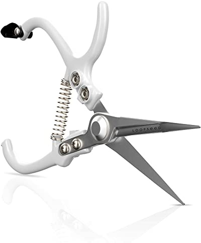 LOOPSEED Plant Pruning Shears Garden Trimming Scissors Precision Hand Pruner Herb Snips Flower Clippers Bonsai Trimmers Straight Sharp Blade Tapered Tip Ergonomic Handle Modern Garden Tools