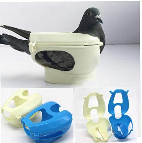 Plastic Racing Pigeon Holder for Injection Feeding Fixed Mount Bird Supplies Box Feeding Fixed Bondage Tool(Random Color)