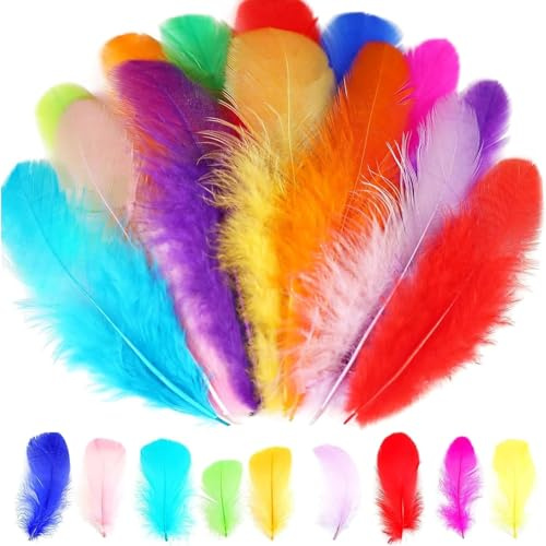 300 PCS Coloured Feathers, Easter Feathers for Crafting,Craft Feathers,Natural Goose Feathers for DIY Dream Catcher Carnival Decorations/Hat/Vase/Mask, Fluffy & Soft, Small & Large(Color Random)