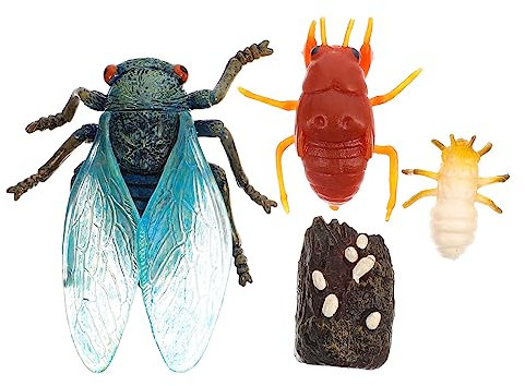 ERINGOGO Simulations Zikadenmodell aus PVC Lebenszyklus Evolution Modell für Kinder Pädagogisches Spielzeug zur Kreativität und Farbenerkennung