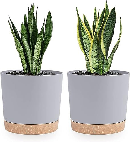 QCQHDU Lot de 2 Pots de Plantes 20.3cm, Pots pour Plantes d'intérieur avec Trous de Drainage et Base Amovible, Soucoupe décorative Moderne pour jardinières d'extérieur (Gris Clair 20.3cm)