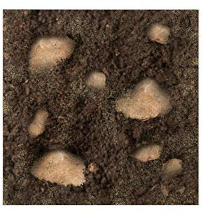 Terriccio Specifico per Cappero - Miscela Perfetta per Piantare e Rinvasare Piante di Cappero - Misto Torba e Tufo/Sabbia - 4L