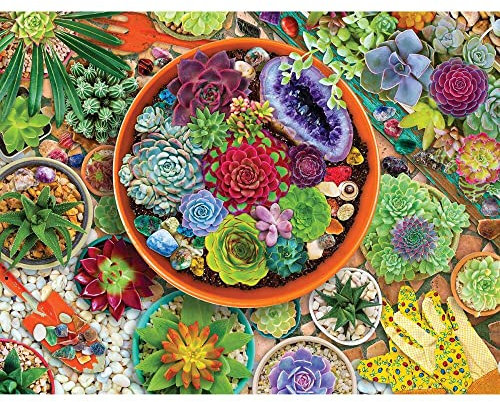 Springbok 500 Piece Jigsaw Puzzle Succulent Garden - Unique Cut Pieces