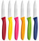 Ruffulon Gemüsemesser Set 6 Stück, Bunte Obstmesser,Küchen messer mit Ergonomischem,Professionelles Schälenmesser mit Hochwertiger Edelstahl,Gerader Schliff,Extra Scharfe Klinge,Spülmaschinenfest