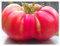PREMIER SEEDS DIRECT Tomato - Brandywine Pink - 40 Seeds