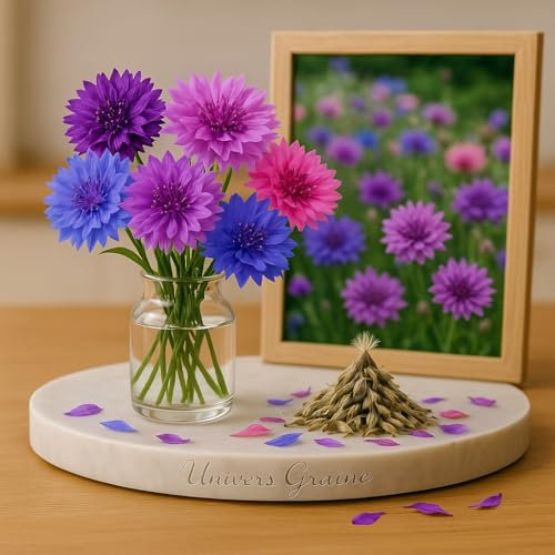 100 Graines de Centaurée - Graine de Bleuet 'Ball Mix' – Centaurea cyanus - Fleur Multicolore Jardin - 391