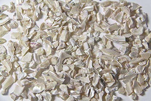 Decorative Concrete Aggregate – Colored Stone for Exposed Aggregate, Epoxy, Terrazzo & Broadcast Concrete Applications - 5lb Mother of Pearl