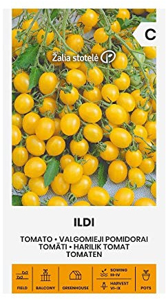 Zalia stotele | SEMI DI POMODORO ILDI | Semi di pomodoro | Semi di ortaggi | Semi di piante | Semi da giardino | 1 pacchetto
