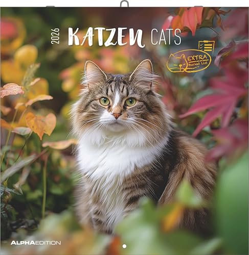 Alpha Edition - Katzen Kalender 2026 – Broschürenkalender 30x30 cm (30x60 cm geöffnet) – Wandkalender & Bildkalender für Katzenliebhaber – mit Feiertagen, Monatsübersichten & Platz für Notizen: Cats