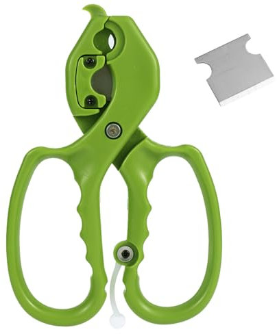lasuroa Forbici Floreali, 2 in 1 Acciaio Inox Forbici da Giardino con Lama Sostituibile Strumenti per Fioristi per Tagliare Fiori Freschi Foglie Spine di Rose (Verde)
