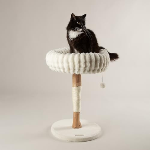 Scruffs Appalachians Cat Scratching Tree