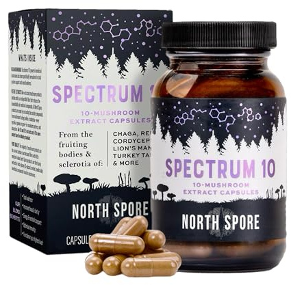 North Spore Organic 'Spectrum 10' Mushroom Extract Capsules | Cognitive Supplement | Lion's Mane, Chaga, Cordyceps, Reishi, Turkey Tail | 10 Medicinal Mushrooms | Energy, Focus, Clarity - 120 ct