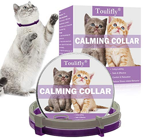 Toulifly Beruhigendes Halsband, Katzenhalsband zur Beruhigung von Angst und Aggression, Pheromonen für Katzen und Katzen, lindert Angstzustände, Konstante Beruhigung -2 Pack