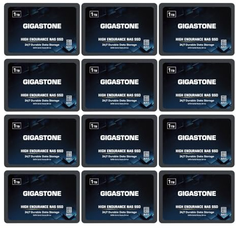 Gigastone SSD 1To NAS SSD Disque (Lot de 12) 24 h/24, 7 j/7 Durable TLC Endurance élevée Raid Synchro sécurisée des données Cache de Stockage en réseau 2,5 Pouces SATA Disque Dur ssd Interne