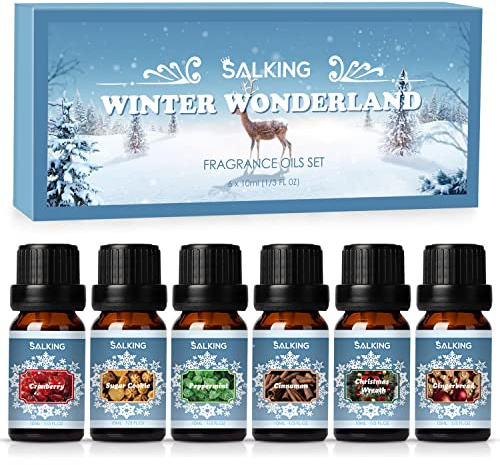 SALKING Set di Olio Essenziale Puri Inverno per Diffusori 6x10ml, per Aromaterapia - Cannella, ghirlanda di Natale, biscotto di zucchero, mirtillo rosso, menta piperita, pan di zenzero