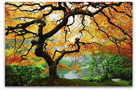 Startonight Quadro su Vetro Acrilico - Acero - Moderno Stampa 60 x 90 CM