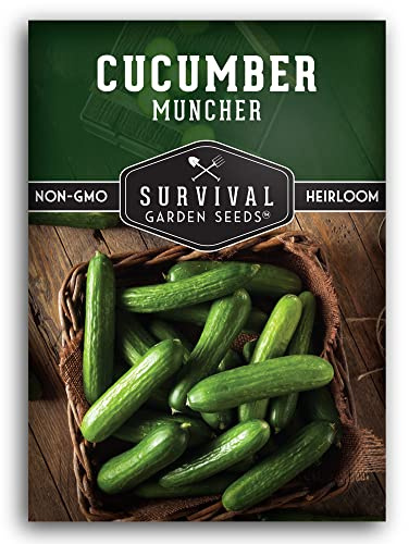 Muncher Cucumber Seeds for Planting | Burpless Variety with Smooth Skin for Snacking or Slicing – Survival Garden Seeds (1 Pack)