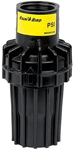 Rain Bird Réducteur de pression 2,1 bar - 3/4 IG (PSI-M30).