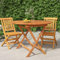 ShGaxin Gartentisch Klappbar Ø 85x75 cm Massivholz Teak Terrassentisch, Esstisch Garten, Balkontisch, Gartenesstisch, Gartenmöbel, Partytisch, 362619