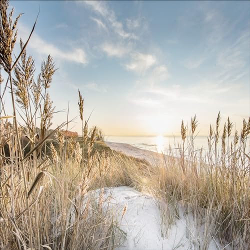 Pro-Art Glasbild Wilder Strand III, 20x20 cm