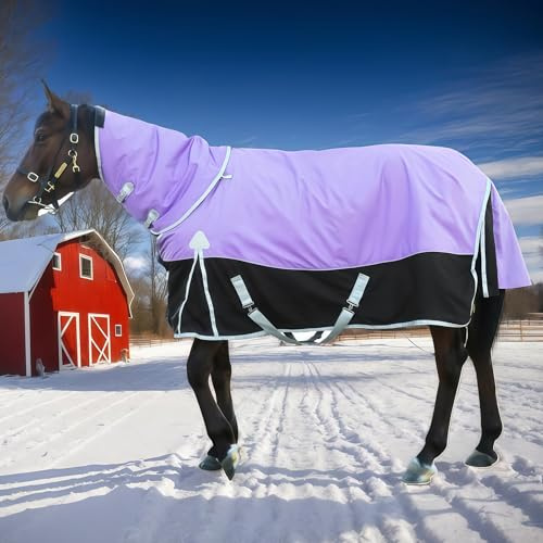SHAIRMB Coperte da Equitazione con Sopraccinghia per Cavalli, Coperta Invernale Impermeabile per Cavalli 1680d, Fodera Imbottita in Caldo Cotone da 400 G / 14 Oz,Viola,EU 145 cm