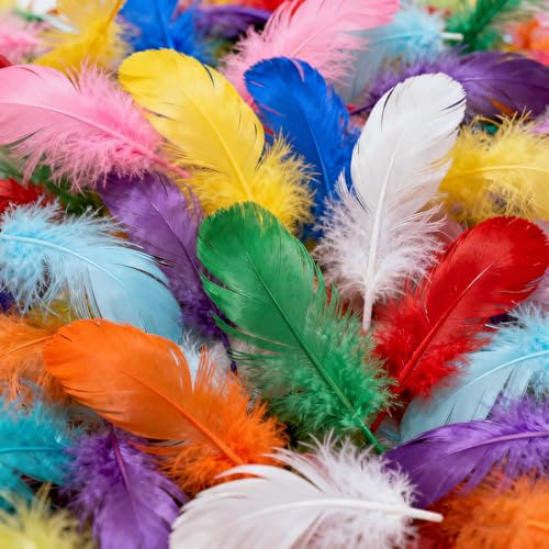 500 Pcs Craft Feathers for Crafting, 6-12cm Coloured Feathers, Natural Colorful Feather for DIY Arts and Crafts Dream Catchers Hat Flowers Party Wedding Decorations
