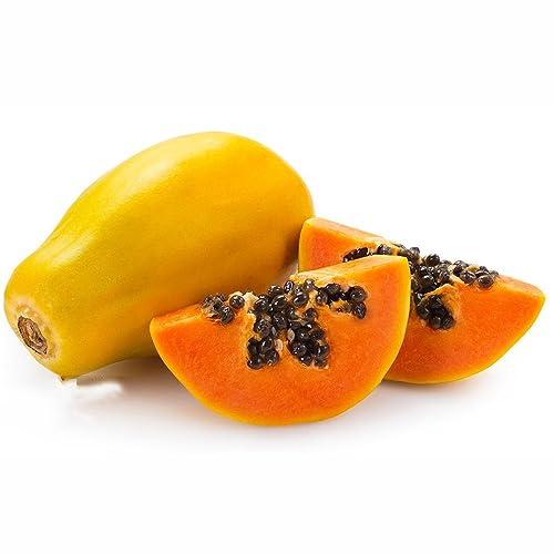 semillas papaya Camas elevadas para el jardín de melón comprar columnares cama elevada de jardín perennes resistentes columnar 35pcs