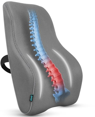 Vive Full Lumbar Cushion - Memory Foam Contour Support for Lower Back Pain - Ergonomic Pressure Relief for Office Chair, Car - Large Mesh Orthopedic Seat Backrest Roll for Improving Posture (Gray)