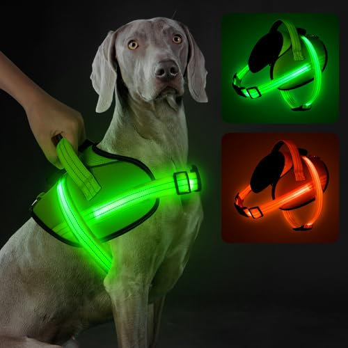 Light Up Hundegeschirr, No-Pull Led Hundegeschirr Wiederaufladbar, Reflektierend Leuchtgeschirr für Hunde, Einstellbar & Komfort Gepolstert für Sicherheit beim Nachtspaziergang (Grün, M)
