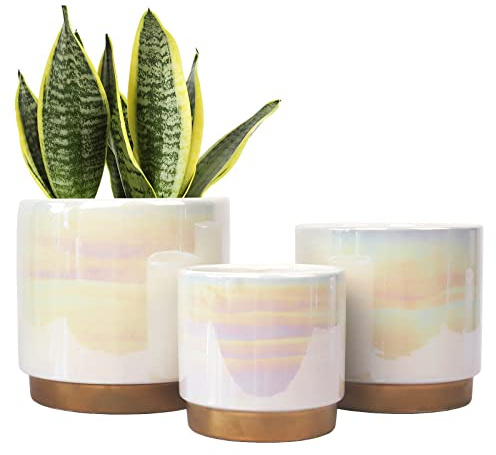 White Indoor Pots for Plants, Ceramic Flower Pot with Drainage Hole, 6+5+4 Flower Pot for Succulent Orchid - Rainbow Pearl Glaze