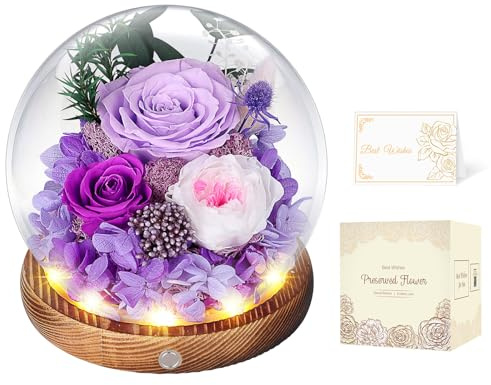 Preserved Roses in Glass Dome with LED Light, Gifts for Women (Purple) | Preserved Flowers Delivery, Eternal Rose, Birthday Gifts for Women, Christmas Gift for Mum, Wife, Anniversary Gift for Her