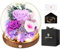 Preserved Roses in Glass Dome with LED Light - Long Lasting Real Flowers, Forever Flowers for Special Moments, Flowers Roses for Valentines Day Gifts, Mothers Day, Birthday Gifts for Women, Purple