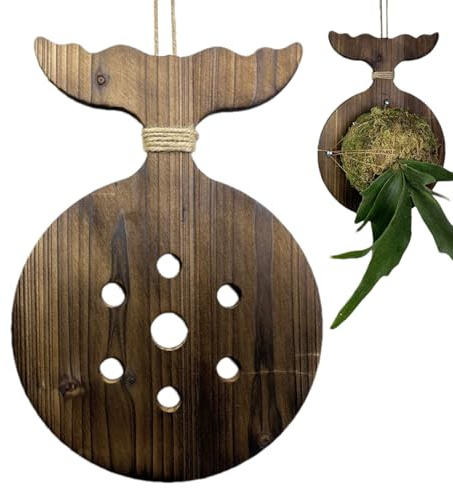 Staghorn - Supporto da parete in legno con felce, 28 x 20 cm, decorazione , espositore rustico, supporto verticale da giardino per , balcone, camera da letto, camere e soggiorno